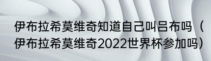 伊布拉希莫维奇知道自己叫吕布吗（伊布拉希莫维奇2022世界杯参加吗）