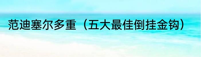 范迪塞尔多重（五大最佳倒挂金钩）