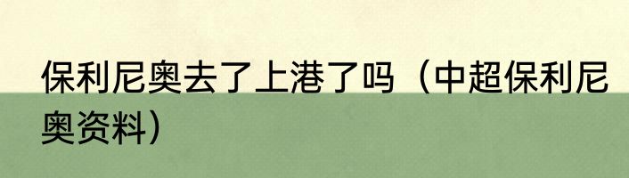 保利尼奥去了上港了吗（中超保利尼奥资料）