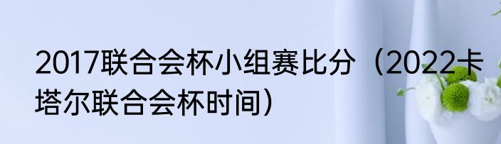 2017联合会杯小组赛比分（2022卡塔尔联合会杯时间）