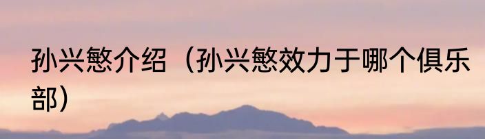 孙兴慜介绍（孙兴慜效力于哪个俱乐部）