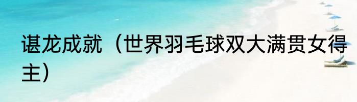 谌龙成就（世界羽毛球双大满贯女得主）