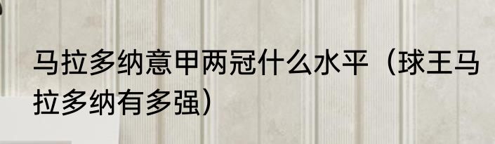马拉多纳意甲两冠什么水平（球王马拉多纳有多强）