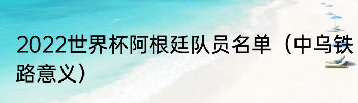 2022世界杯阿根廷队员名单（中乌铁路意义）