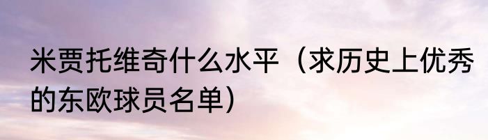 米贾托维奇什么水平（求历史上优秀的东欧球员名单）