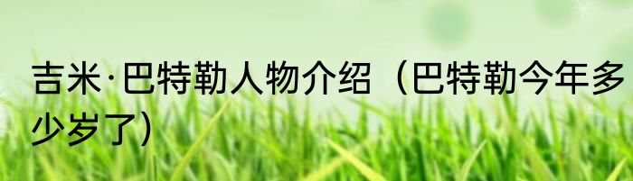 吉米·巴特勒人物介绍（巴特勒今年多少岁了）