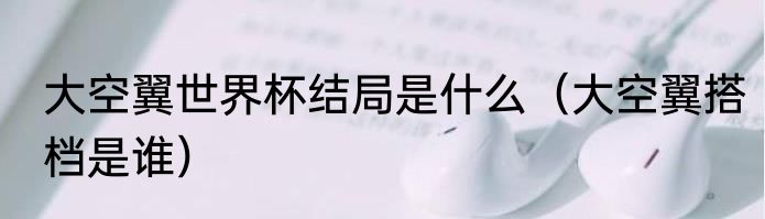 大空翼世界杯结局是什么（大空翼搭档是谁）