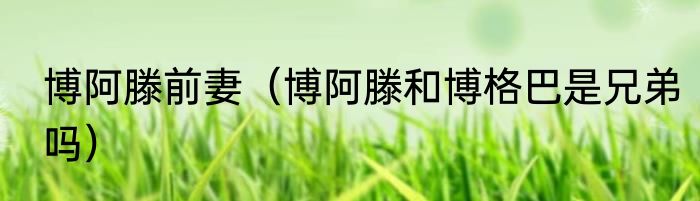 博阿滕前妻（博阿滕和博格巴是兄弟吗）