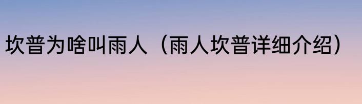 坎普为啥叫雨人（雨人坎普详细介绍）