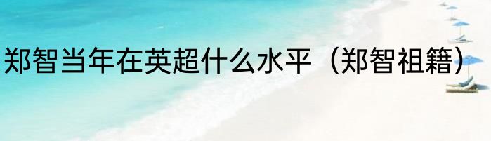 郑智当年在英超什么水平（郑智祖籍）