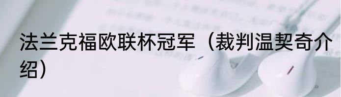 法兰克福欧联杯冠军（裁判温契奇介绍）