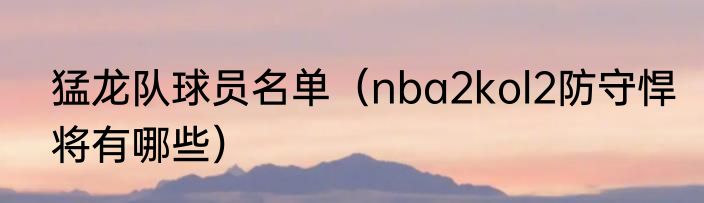 猛龙队球员名单（nba2kol2防守悍将有哪些）