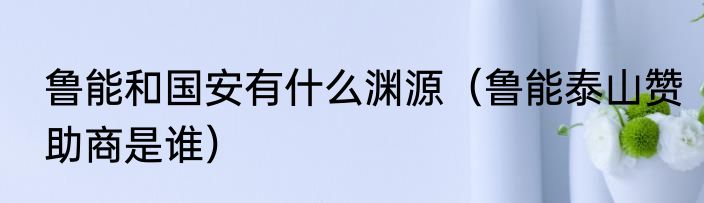 鲁能和国安有什么渊源（鲁能泰山赞助商是谁）