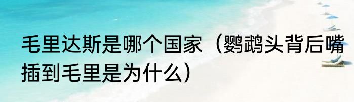 毛里达斯是哪个国家（鹦鹉头背后嘴插到毛里是为什么）