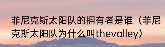 菲尼克斯太阳队的拥有者是谁（菲尼克斯太阳队为什么叫thevalley）