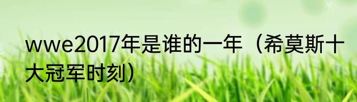 wwe2017年是谁的一年（希莫斯十大冠军时刻）