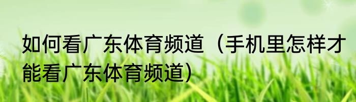 如何看广东体育频道（手机里怎样才能看广东体育频道）