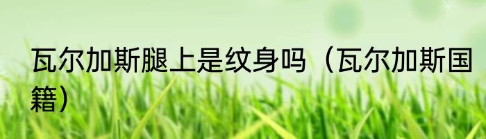 瓦尔加斯腿上是纹身吗（瓦尔加斯国籍）