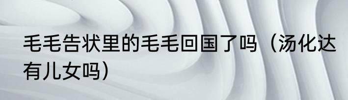 毛毛告状里的毛毛回国了吗（汤化达有儿女吗）