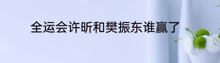 全运会许昕和樊振东谁赢了