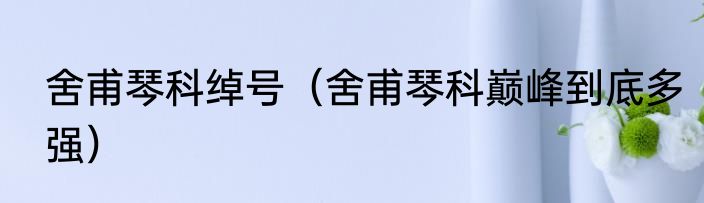 舍甫琴科绰号（舍甫琴科巅峰到底多强）