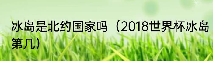 冰岛是北约国家吗（2018世界杯冰岛第几）