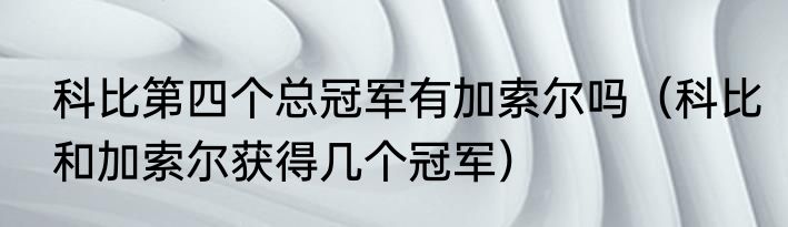科比第四个总冠军有加索尔吗（科比和加索尔获得几个冠军）