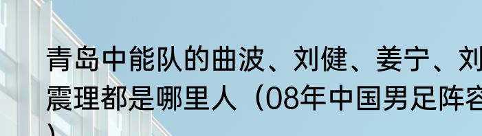 青岛中能队的曲波、刘健、姜宁、刘震理都是哪里人（08年中国男足阵容）