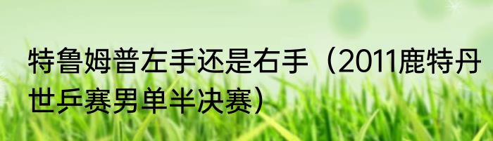 特鲁姆普左手还是右手（2011鹿特丹世乒赛男单半决赛）