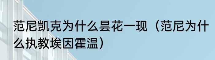 范尼凯克为什么昙花一现（范尼为什么执教埃因霍温）