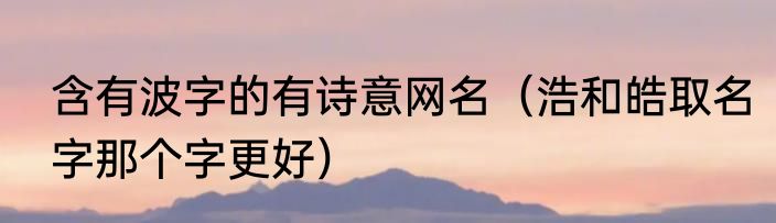 含有波字的有诗意网名（浩和皓取名字那个字更好）