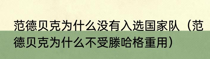 范德贝克为什么没有入选国家队（范德贝克为什么不受滕哈格重用）
