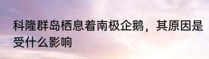 科隆群岛栖息着南极企鹅，其原因是受什么影响