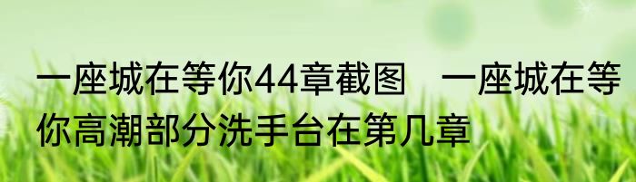 一座城在等你44章截图   一座城在等你高潮部分洗手台在第几章