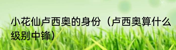 小花仙卢西奥的身份（卢西奥算什么级别中锋）