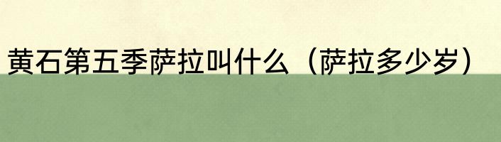 黄石第五季萨拉叫什么（萨拉多少岁）