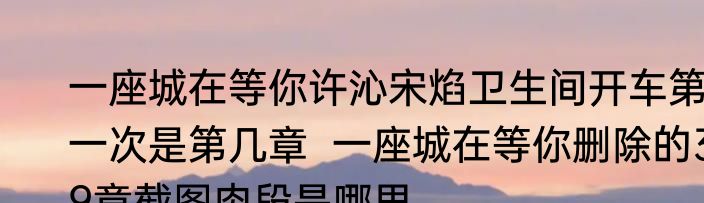 一座城在等你许沁宋焰卫生间开车第一次是第几章  一座城在等你删除的39章截图肉段是哪里