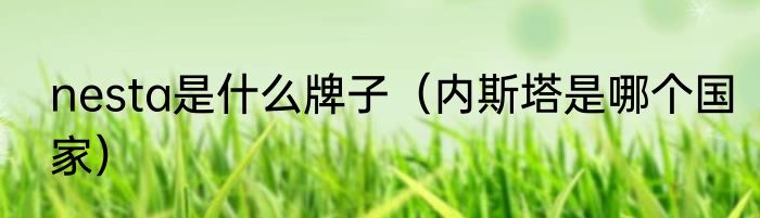 nesta是什么牌子（内斯塔是哪个国家）