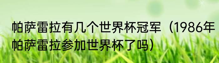 帕萨雷拉有几个世界杯冠军（1986年帕萨雷拉参加世界杯了吗）