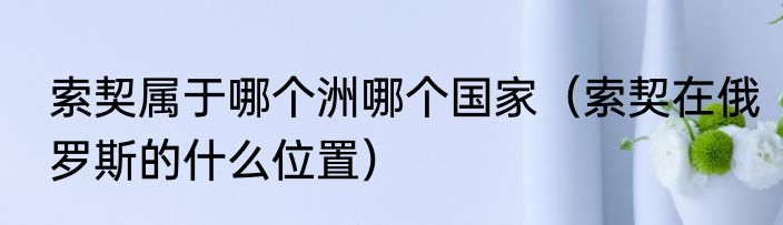 索契属于哪个洲哪个国家（索契在俄罗斯的什么位置）