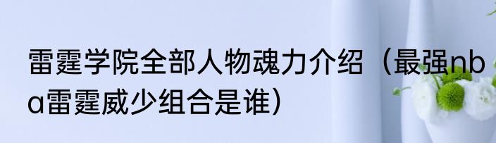 雷霆学院全部人物魂力介绍（最强nba雷霆威少组合是谁）