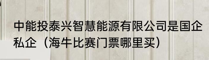 中能投泰兴智慧能源有限公司是国企私企（海牛比赛门票哪里买）