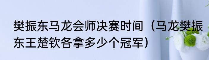樊振东马龙会师决赛时间（马龙樊振东王楚钦各拿多少个冠军）