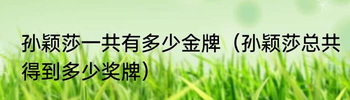 孙颖莎一共有多少金牌（孙颖莎总共得到多少奖牌）