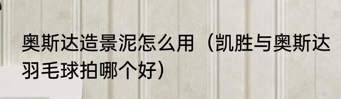 奥斯达造景泥怎么用（凯胜与奥斯达羽毛球拍哪个好）