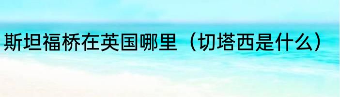 斯坦福桥在英国哪里（切塔西是什么）