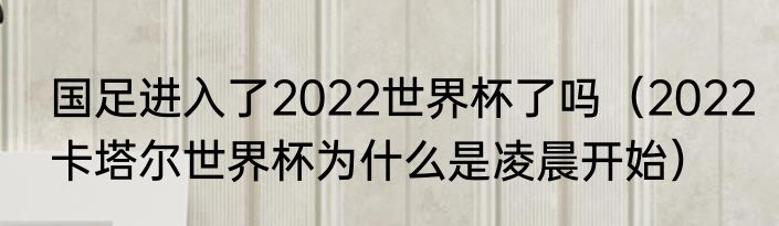 国足进入了2022世界杯了吗（2022卡塔尔世界杯为什么是凌晨开始）