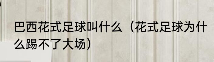 巴西花式足球叫什么（花式足球为什么踢不了大场）