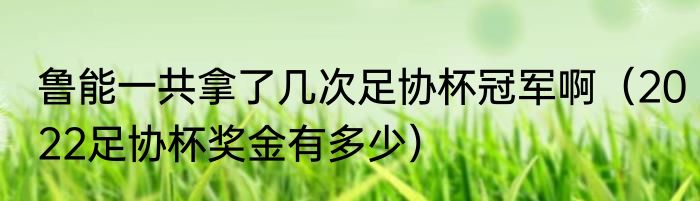 鲁能一共拿了几次足协杯冠军啊（2022足协杯奖金有多少）