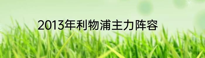 2013年利物浦主力阵容